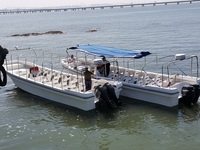 Bateau de passagers de petite taille en fibre de verre Grandsea de 35 pieds/11 m, 20 places, taxi fluvial, ferry avec moteur hors-bord