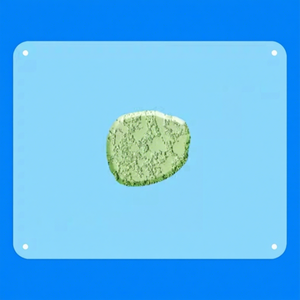 Litière pour <span class=keywords><strong>chat</strong></span> naturelle à base <span class=keywords><strong>de</strong></span> boue <span class=keywords><strong>de</strong></span> diatomées, absorption ultra-rapide, agglomération solide, nettoyage simple et rapide au quotidien - Product Image 3