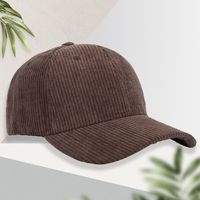 Gorra de Béisbol de Pana y PVC para Mujer, Cálida, Otoño Invierno, Logotipo Personalizado Bordado, Elegante, Protección Solar, Ajustable, Unisex, para Parejas