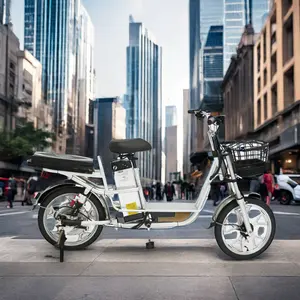 2024长距离最受欢迎的复古500瓦无刷电机无噪音城市ebike电动自行车公路自行车