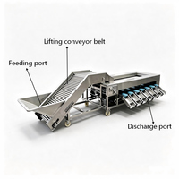 Commerciële roltype sorteermachine voor blauwe bessen, appels, citrusvruchten, hoogwaardige sorteermachine voor groenten zoals komkommer en wortel