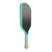 Pala de Pickleball de Fibra de Carbono Cruda de 16 mm, Termoformada, Aprobada por la USAPA, para Entrenamiento