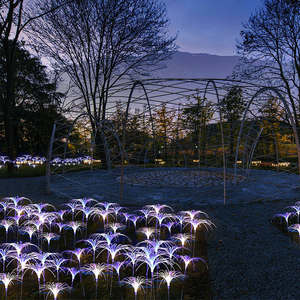 Nuevo estilo moderno exterior suelo centelleante iluminación impermeable RGB exterior fibra caña LED lámpara de jardín - Product Image 4