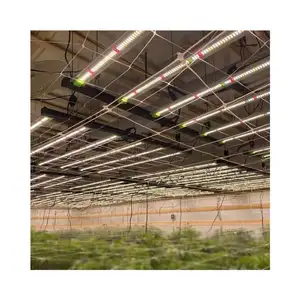 Les plantes d'intérieur poussent des ampoules avec des échantillons gratuits LED élèvent des lumières à spectre complet pour la vente en gros