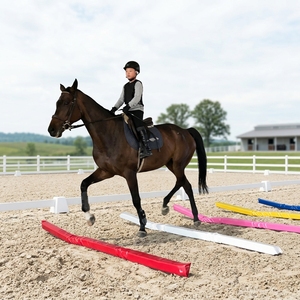 Pali Morbidi per <span class=keywords><strong>Salto</strong></span> Equestre da 300cm in Schiuma Altamente Elastica, Disponibili in Diversi Colori, Sicuri per Cavalli, per Allenamento a <span class=keywords><strong>Ostacoli</strong></span> Standard - Product Image 3