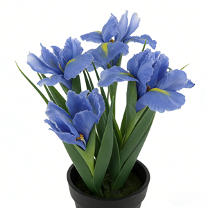 <span class=keywords><strong>Plantes</strong></span> artificielles en pot avec des fleurs d'<span class=keywords><strong>iris</strong></span> bleues et un faux sol, arrangement floral réaliste pour la décoration du salon et du balcon - Product Image 4