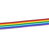 Sangle en polyester écologique à rayures irisées arc-en-ciel avec largeur et épaisseur personnalisables pour sacs et vêtements