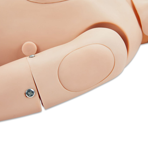 Mannequin de simulation infirmière multifonctionnel en PVC avancé pour la formation des infirmières et des enseignants en sciences médicales dans les écoles - Product Image 3
