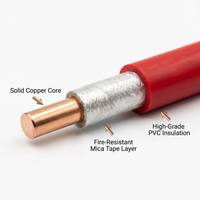 Kabel Listrik Tahan Api NH BV 450 750V Tembaga Padat Berisolasi PVC Tahan Nyala Api untuk Bangunan