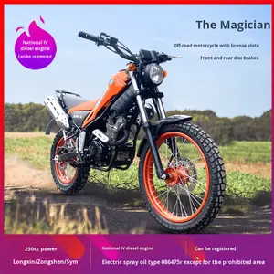 Magician 250 Off-Road Motorcycle National IV EFI Registration for Beginner Mountain Climbing and <span class=keywords><strong>Trail</strong></span> Leisure Rides - Product Image 6