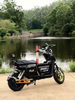 Bicicleta Eléctrica Urbana con Motor Trasero de 1500W, Velocidad Máxima de 60km/h, Frenos de Disco de 3 Velocidades, Cuadro de Acero al Carbono