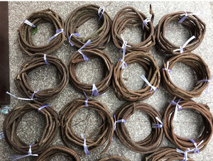 Bandes de vigne artificielle séchée en rotin, fabriquées à <span class=keywords><strong>la</strong></span> machine, pour <span class=keywords><strong>la</strong></span> décoration de paysages pastorale, type vigne de <span class=keywords><strong>montagne</strong></span> rouge - Product Image 6
