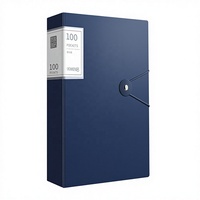 Carpeta Organizadora de Documentos Transparente A4, 100 Bolsillos, Carpeta Vertical con Ventana para Archivo de Oficina