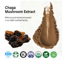 Extrait de champignon Chaga Amulyn, récolté en zones froides, riche en triterpènes, extrait du corps fruiteur d'Inonotus Obliquus
