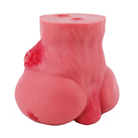 Poupée sexuelle réaliste en forme de cheval avec canaux anaux et vaginaux serrés, masturbateur en silicone pour hommes, stimulateur de pénis.