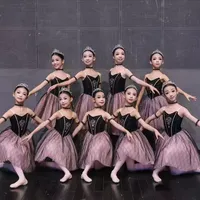 Robe de tutu de ballet noire et rose pour filles, avec strass, bretelles spaghetti, costume de scène pour enfants, danse de groupe, compétition de ballerine