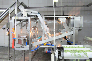 Grossista professionale frutta congelata e verdure surgelate con 20 anni di produzione e di esperienza di esportazione - Product Image 5