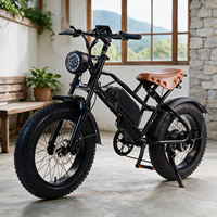 Vélo électrique rétro à gros pneus OEM 20 pouces, fabriqué en Chine, cadre en acier, logo personnalisé, batterie lithium 48V, vélo électrique