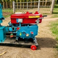 Nouvelle machine à granulés rotative à moteur diesel pour broyage de maïs et de paille, granulateur domestique de particules d'aliments pour animaux