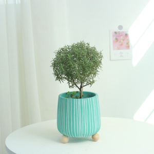 Maceta Redonda Moderna y Ecológica <span class=keywords><strong>de</strong></span> <span class=keywords><strong>Cemento</strong></span> <span class=keywords><strong>con</strong></span> <span class=keywords><strong>Patas</strong></span> <span class=keywords><strong>de</strong></span> <span class=keywords><strong>Madera</strong></span> en Varios Colores para Decoración del Hogar y Jardín - Product Image 4
