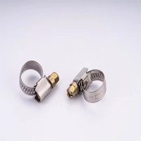 Mini-colliers de serrage en acier inoxydable/acier au carbone, à vis, personnalisés, en zinc naturel