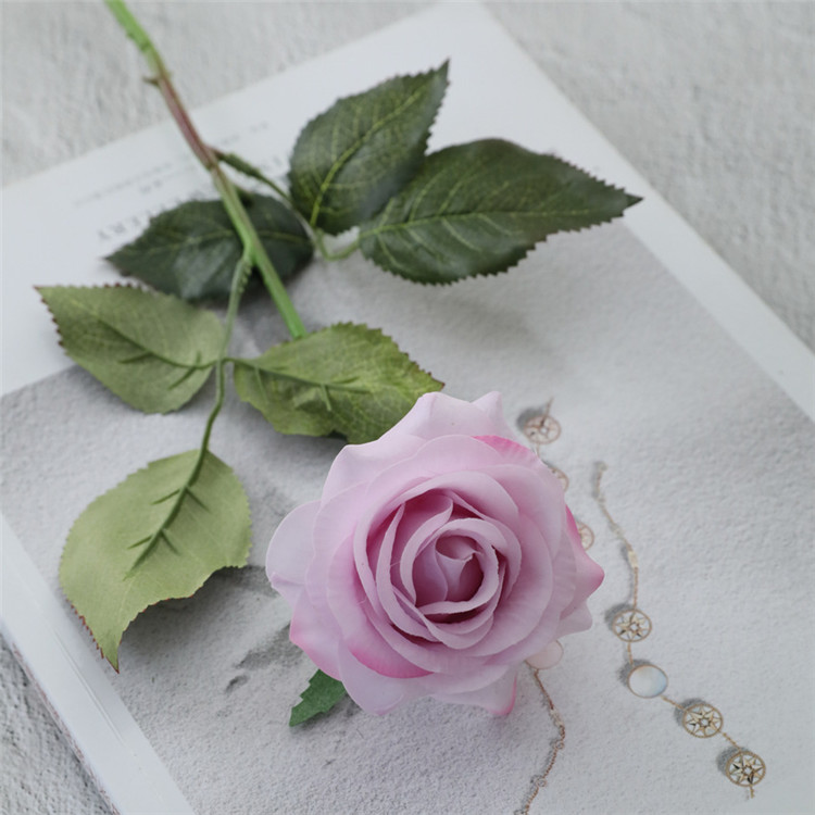 pink-purple