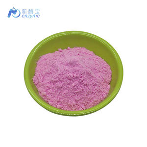 Fabrika toptan fiyat özel etiket ejderha meyve tozu organik Pitaya suyu tozu - Product Image 2