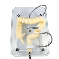 LHNCS Modèle chirurgical du côlon plié Colonoscope torsadé Simulation souple Modèle d'entraînement à la coloscopie