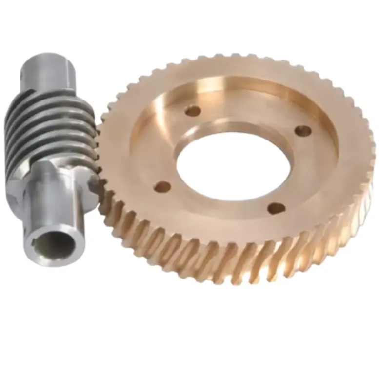 Customized High Precision Bronze Brass Worm Gear and Shaft for Auto Parts Made in China