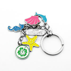 चाबी का गुच्छा के साथ निर्माता थोक ODM OEM कस्टम महासागर धातु कुंजी अंगूठी श्रृंखला - Product Image 4