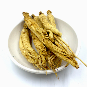Chất lượng cao Panax <span class=keywords><strong>Ginseng</strong></span> chiết xuất nhân sâm bột từ nhà cung cấp Trung Quốc - Product Image 2