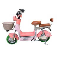 Bicicleta Eléctrica Urbana para Mujer con Excelente Relación Calidad-Precio - Motor Trasero Confiable, Batería de Plomo-Ácido de 48V