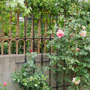 Treillis rectangulaire en fer durable pour plantes, support de roses pour jardin extérieur - Product Image 1