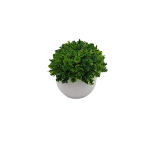 Plantas Artificiales en Maceta de Plástico, Resistentes a los Rayos UV, Estilo Simple, Decoración para el Hogar y Escritorio, Mini Bonsái, Más Vendidas - Product Image 6
