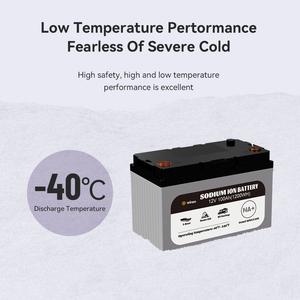 Batería de iones de sodio personalizada de baja temperatura Wiren, batería de arranque de 12V 24V 48V 200Ah 300Ah IP65, soluciones personalizadas para vehículos recreativos y marinos - Product Image 4