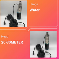 Pompe submersible à vis CC 300W 24V 1 pouce : Haute efficacité, hauteur de refoulement 40m, débit 1,5m³/h (Personnalisable OEM)