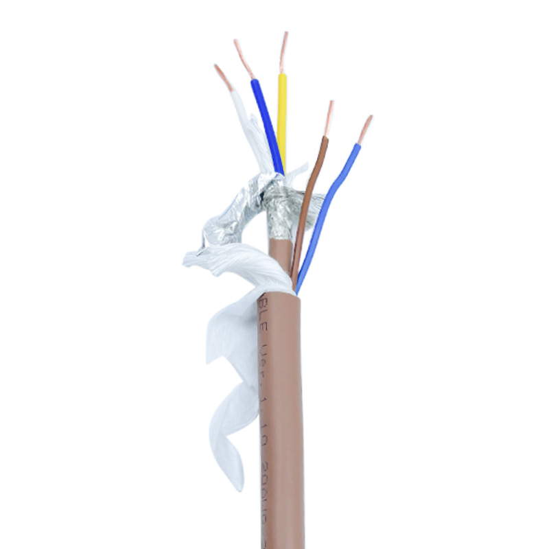 สีน้ำตาล