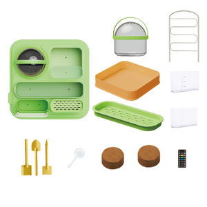 नवीनता के साथ बच्चों के इनडोर बीज प्रजनन दर्शक प्लास्टिक शैक्षिक संयंत्र बढ़ते अवलोकन किट कीट कंटेनर - Product Image 2