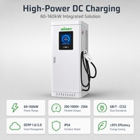 Borne de recharge DC 60 kW GB/T, simple pistolet, sur pied, entrée 110 A, écran LCD, RFID, OCPP 1.6/2.0, IP54, pour site de recharge public