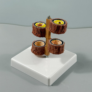 Model Anatomi Pembentukan Trombus Aterosklerosis Arteri Cabang Tubuh Manusia untuk Departemen Hematologi Vaskular Model LYA-002 - Product Image 5