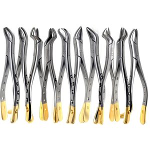 Juego de fórceps dentales de 10 piezas con mordazas serradas para extracción de molares superiores e inferiores, instrumentos quirúrgicos - Product Image 1