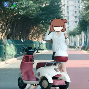 Tricycle électrique ouvert, petit modèle pour femmes, usage domestique, transport <span class=keywords><strong>adulte</strong></span>, loisirs, scooter électrique, vélo électrique - Product Image 1