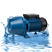 110 220 Volt Ferme Irrigation JET-100S Eau Haute Puissance Pompe Moteur Électrique 1Hp Usage Domestique JET Pompes Auto-Amorçantes