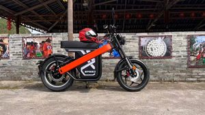 Bicicleta Plegable con Llantas Anchas de 17 Pulgadas, 60v, 2000w, 45 Km/h, la Más Vendida - Product Image 2