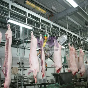 Macello per bestiame macello suino macchine per la lavorazione della carne