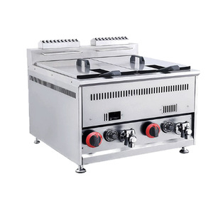 Commercial Gas Fryer Twin Cylinder 18L Stainless Steel Tabletop For Meat Products LPG LNG - Product Image 1