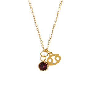 Collier en acier inoxydable plaqué or 18 carats PVD, anti-ternissement, avec signe du zodiaque et pierre de naissance de <span class=keywords><strong>juillet</strong></span> arc-en-ciel, chaîne à maillons tendance, vente en gros - Product Image 5