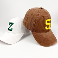 Algodón lavado desgastado Vintage papá sombreros sin estructura Logo bordado gorra de béisbol personalizada