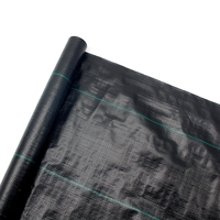 UV-bestendig 90gsm PP geweven gronddoek onkruidmat zwart met groene markeringslijn onkruidbestrijdingsdoek voor tuin en kas