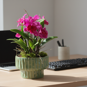 <span class=keywords><strong>Plante</strong></span> artificielle <span class=keywords><strong>en</strong></span> <span class=keywords><strong>pot</strong></span> de <span class=keywords><strong>basilic</strong></span>, feuilles d'apparence fraîche, texture réaliste pour le comptoir de cuisine, la décoration de fenêtre et l'affichage de jardin d'herbes - Product Image 1